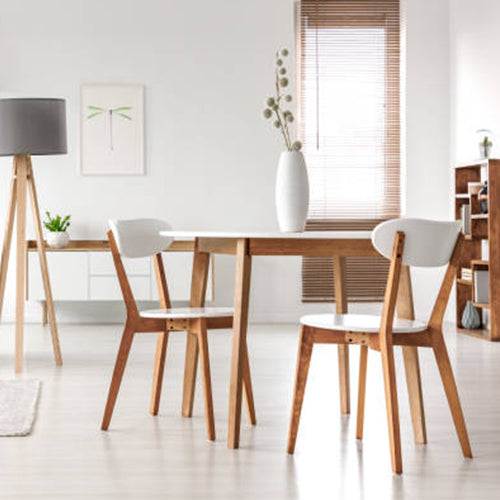 Furniture stores for dining chairs