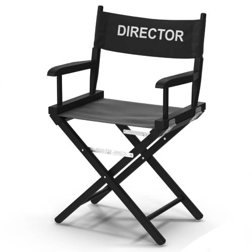 Casual home director chair frames