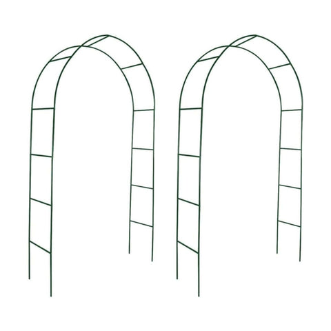vidaXL Garden Arch 2 pcs Climbing Plants