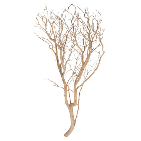 36 In. Sand Blasted Manzanita Tree Branch