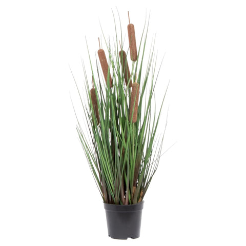 24 In. Grass with 5 Cattails Potted