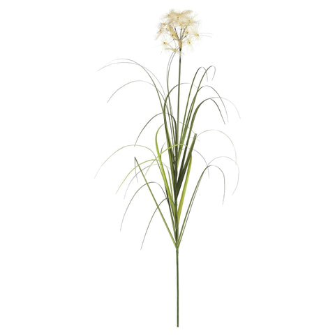 36 In. Dandelion Grass in Pot
