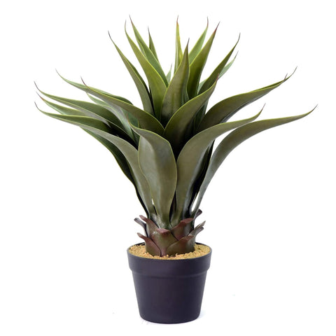 22 In. Green Potted Aloe Vera