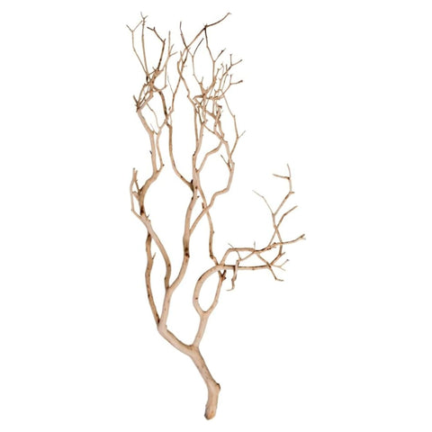 24 In. Sand Blasted Manzanita Tree Branch