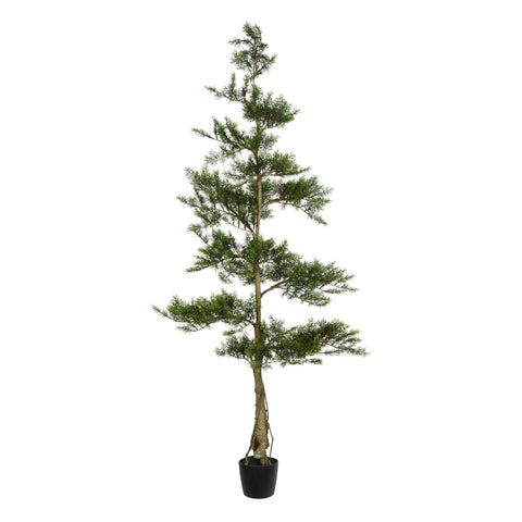 6 Ft. Potted Cedar Tree 390Lvs