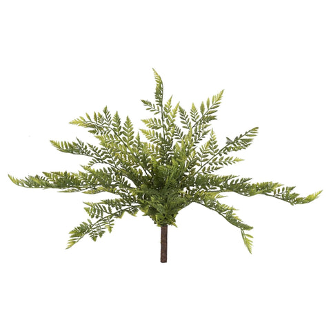 17 In. Green Rabbit Foot Fern Bush 2/Pk