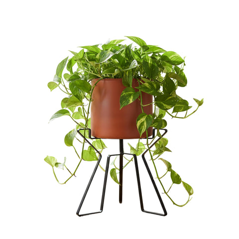 Oakestry Florence Planter with Stand, Burnt Sienna Galvanized Steel Pot & Black Wrought Iron Folding Stand, Indoor Outdoor Tabletop Planter