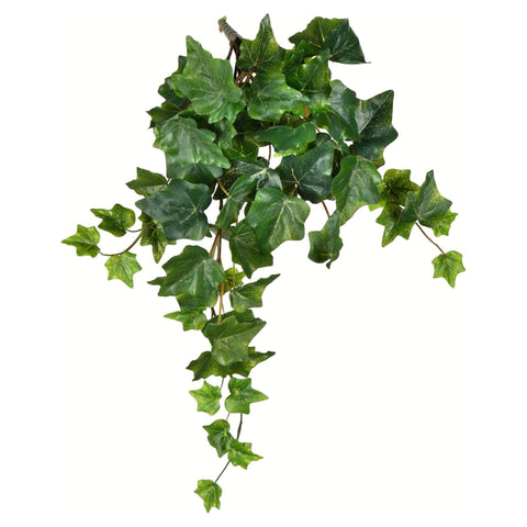 18 In. Green Ivy Hanging Bush 3/Pk