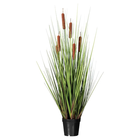 36 In. Grass with 6 Cattails Potted