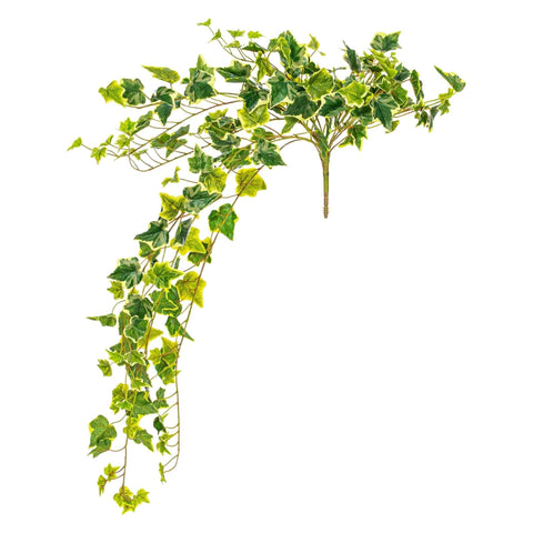 34 In. Varigated Green Ivy Hanging Bush