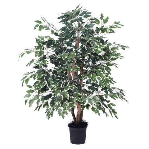 4 Ft. Variegated Extra Full