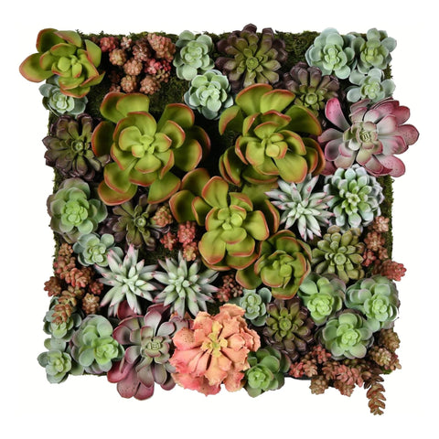 16.5 In. Multi-Colored Succulent Wall Arran