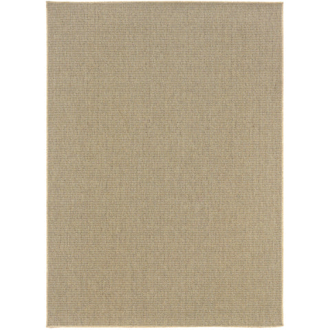 Oakestry Solid Area Rug Light Brown, Indoor Flat Weave Carpet for Living Room Bedroom, Stain Resistant, Easy Care Rug