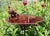 Oakestry Antiqued Birdbath With Birds and Stake