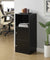 Oakestry Xtra Storage 2 Door Cabinet, Black