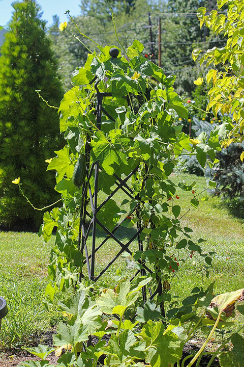 Oakestry OBL-25 Lattice Wrought Iron Garden Obelisk Trellis, Graphite