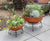 Oakestry Piazza Flower Pot Plant Stand, Small